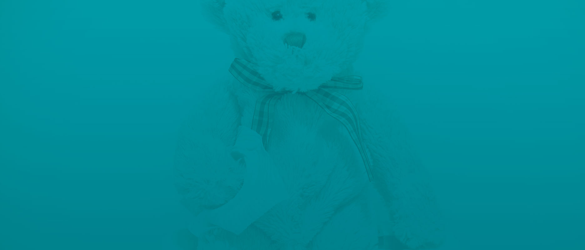 Teddy Bear